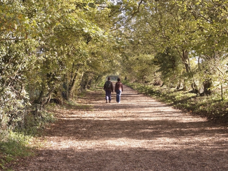 Two people walking along a tree-lined country path