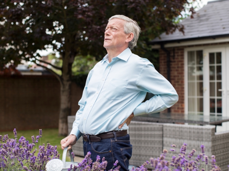 Older man holding his lower back while gardening